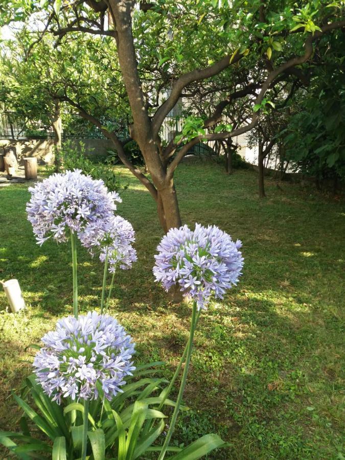 Vila Skala Herceg Novi Dış mekan fotoğraf
